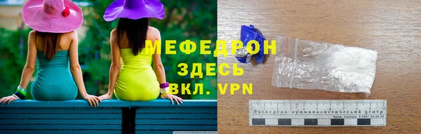 индика Богданович