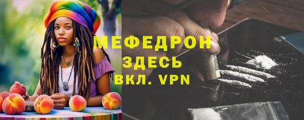 индика Богданович