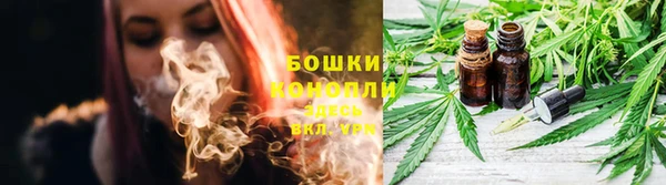 индика Богданович