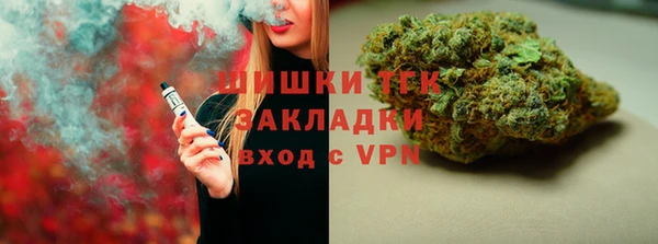индика Богданович