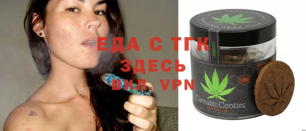 индика Богданович