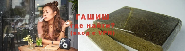 индика Богданович
