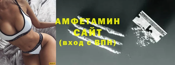 индика Богданович