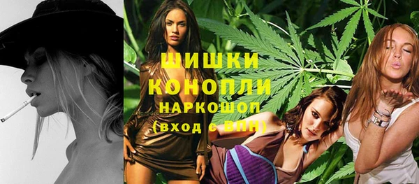 индика Богданович