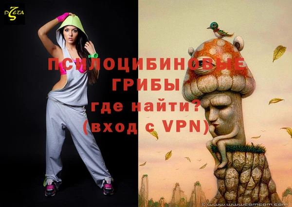 индика Богданович