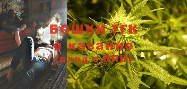 индика Богданович
