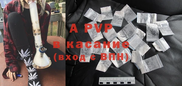 индика Богданович