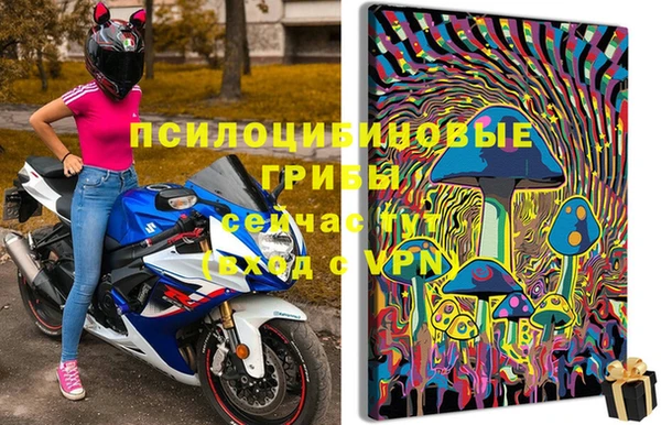 индика Богданович