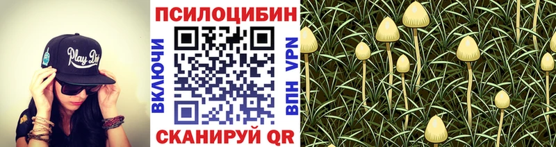 мега ссылки  это клад  Галлюциногенные грибы прущие грибы  дарнет шоп  Мостовской 